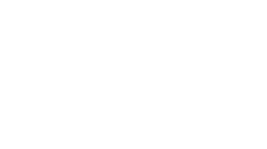  FansGame Logo